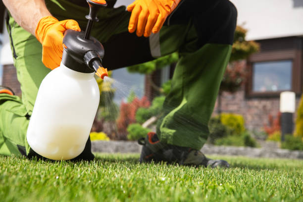 Best Emergency Pest Control  in Moriarty, NM