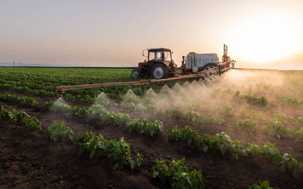 Pest Prevention Services in Moriarty, NM