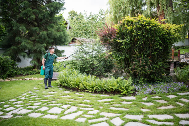 Best Local Pest Control Services  in Moriarty, NM