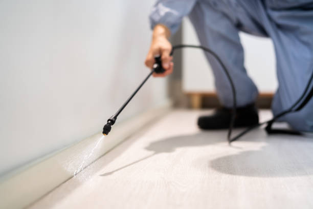 Best Pest Prevention Services  in Moriarty, NM
