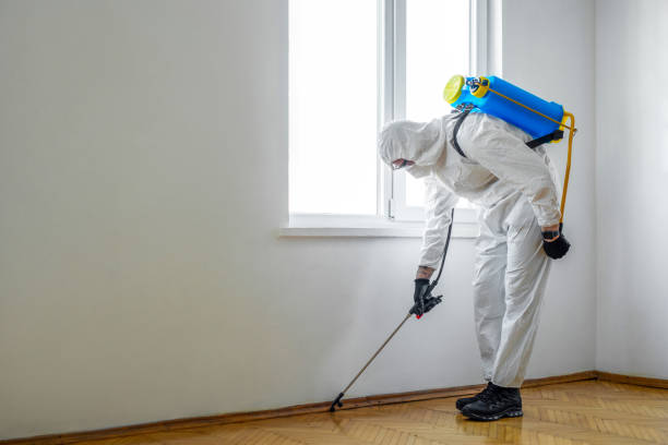 Professional Pest Control in Moriarty, NM