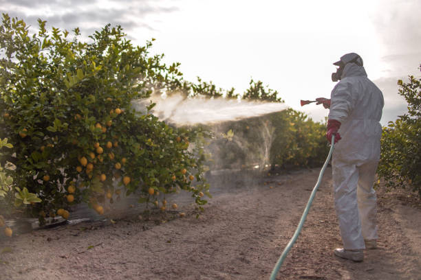 Best Affordable Pest Control Services  in Moriarty, NM